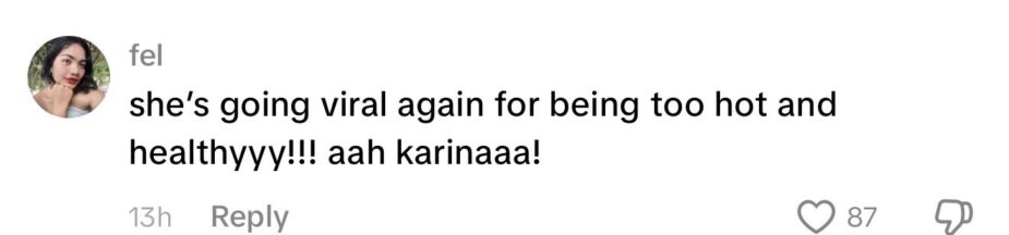Karina舞台造型相關討論截圖。