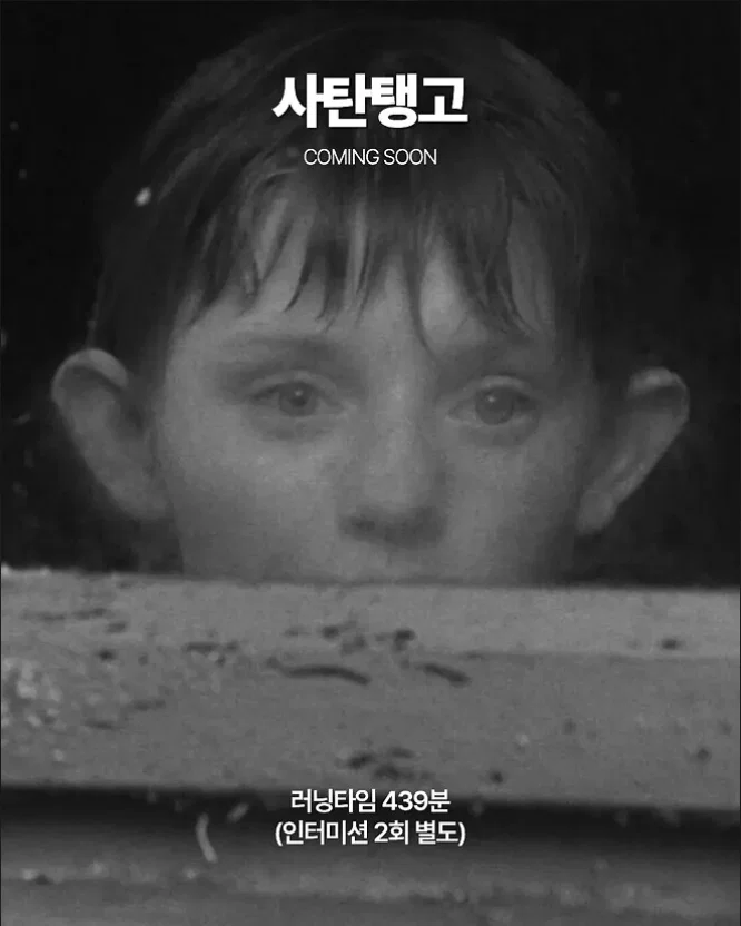 더쿠 (theqoo)