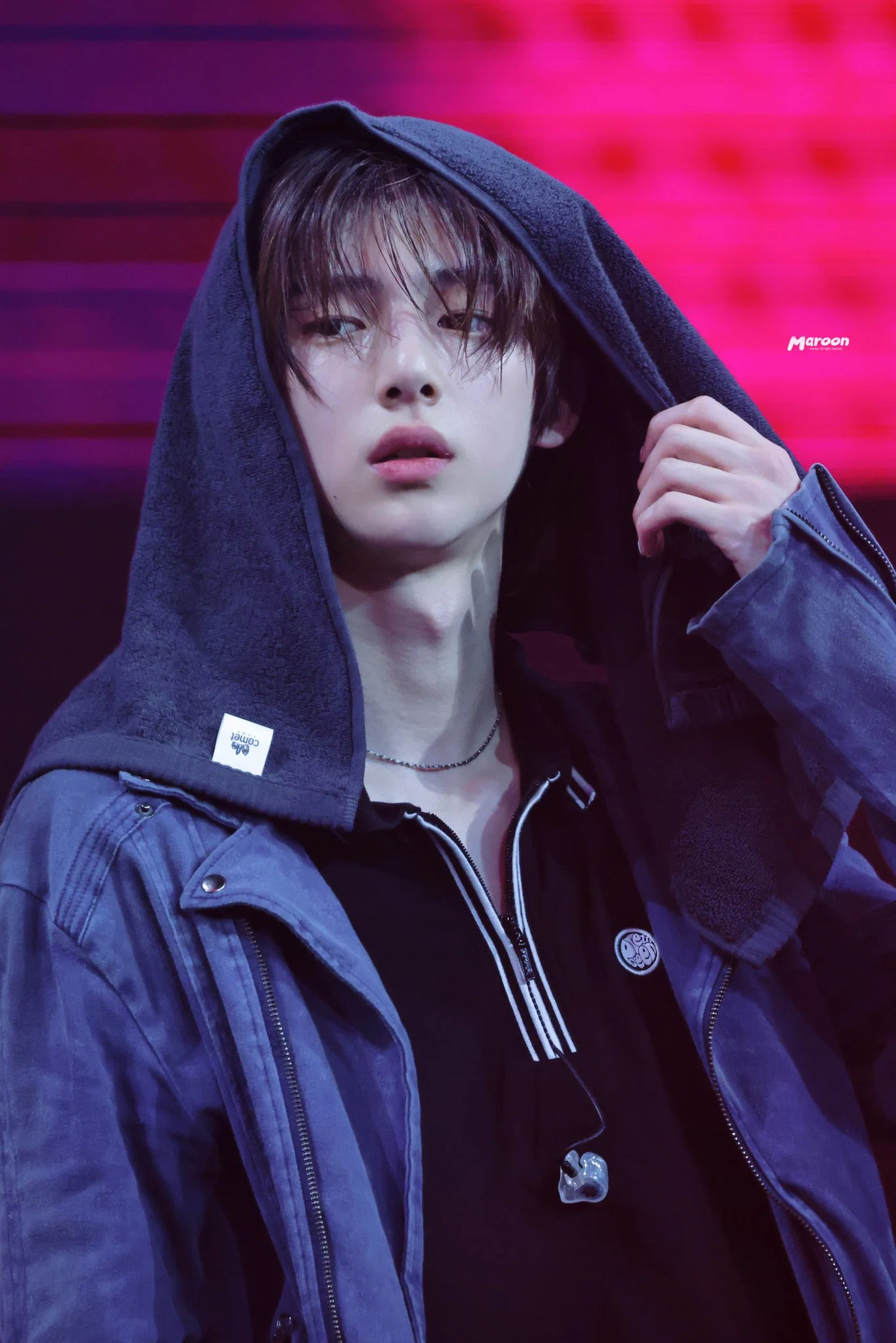 더쿠 (theqoo)