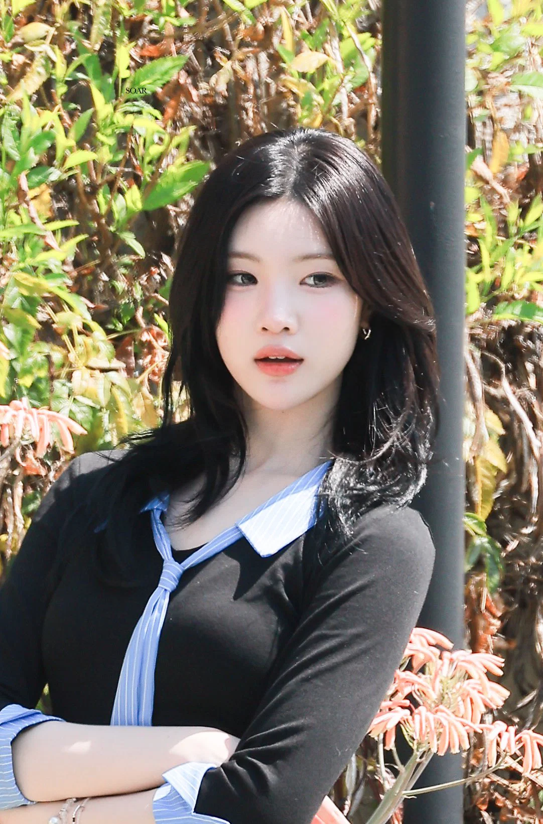 더쿠 (theqoo)