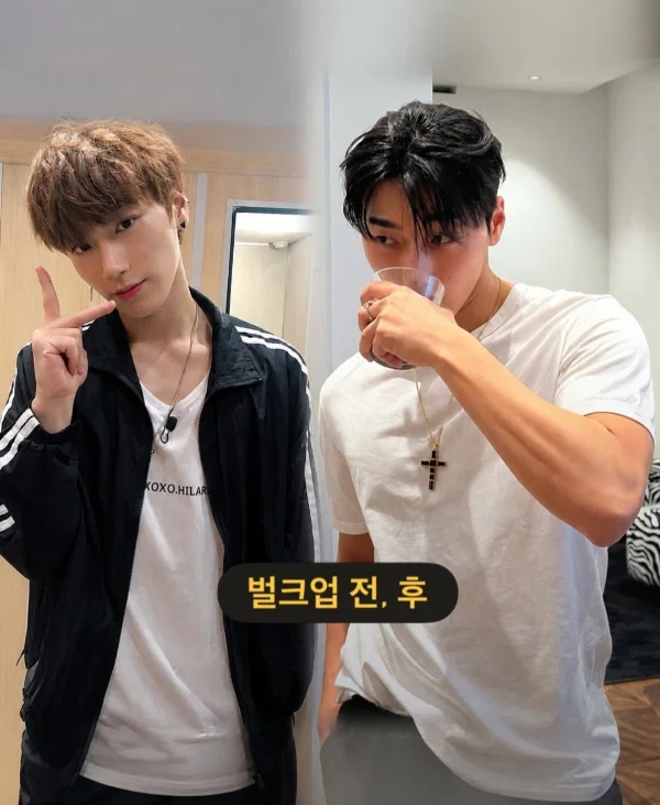 더쿠 (theqoo)