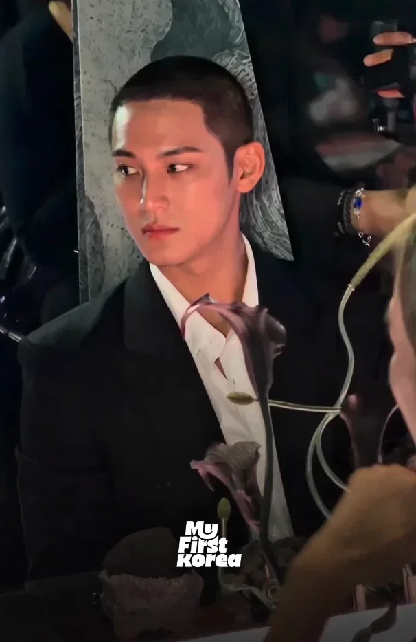 더쿠 (theqoo)